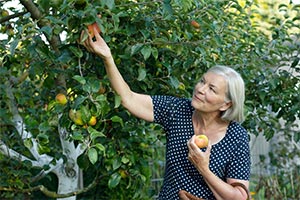 Donner l’usufruit d’un bien