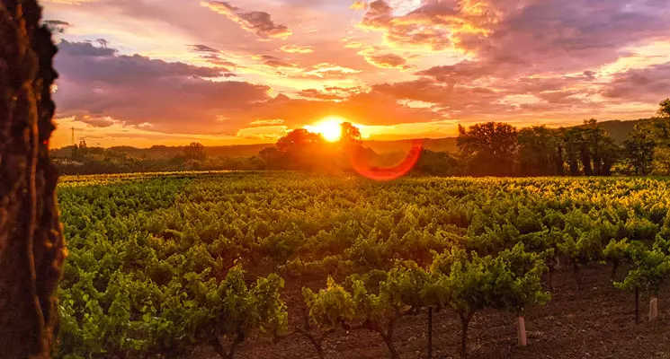 Johnny Depp vend son village provençal